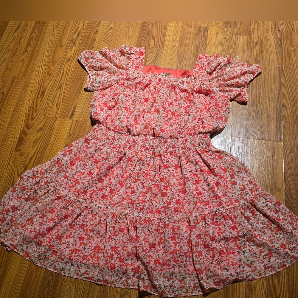 Taylor Pink/Red Floral Dress